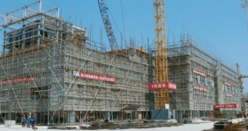 2020年度崇明區政府實事項目重點建筑工程完成情況綜述